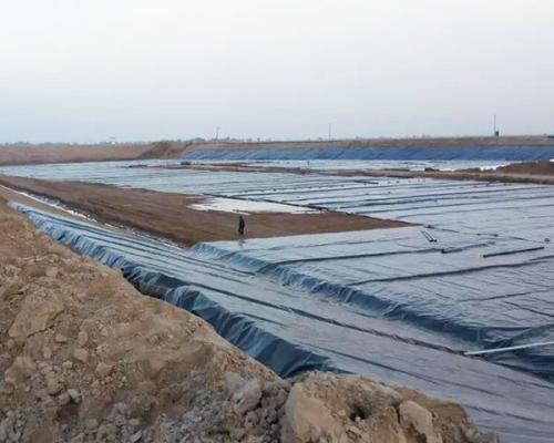 防水草莓福利视频多少錢一平方