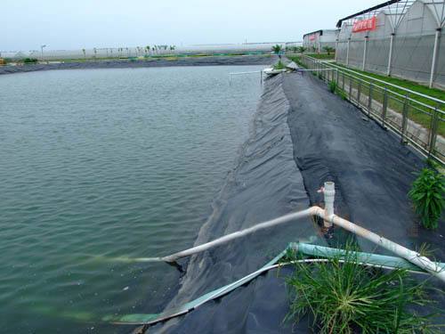 為什麽魚池必須用hdpe草莓福利视频草莓视频下载免费呢